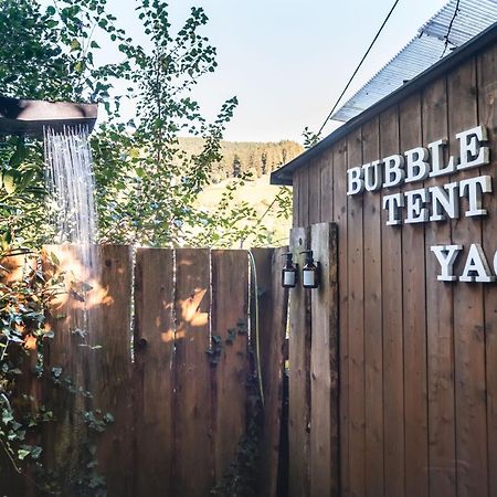 Living Timeless- Bubble Tent Elzach Inklusive Hot Tube Badefass- Schlafen Unterm Sternenhimmel Esterno foto
